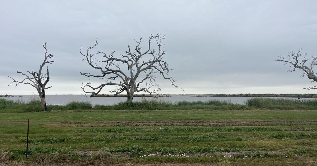 Why would Elon Musk want to launch SpaceX rockets in Louisiana? The answer lies on its coast.