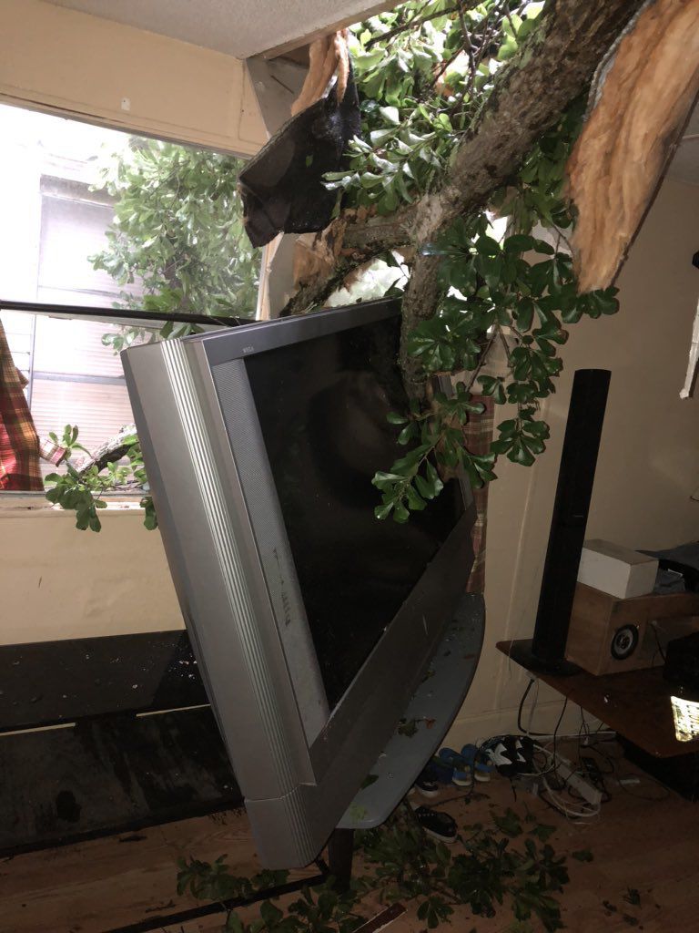 storm damage 7