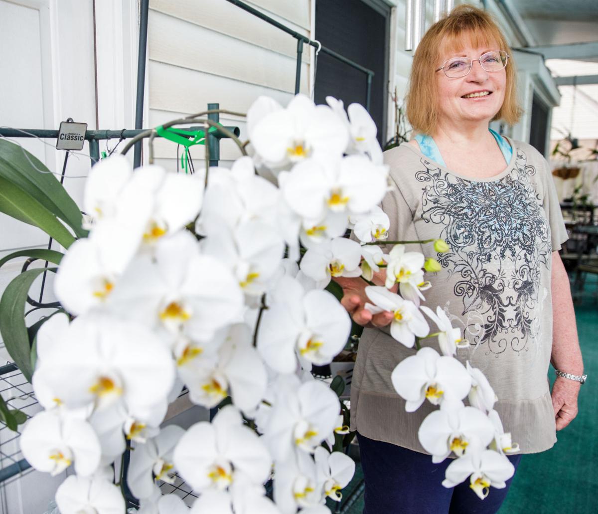 Catch Rare Beauties On Display At New Orleans Orchid Society Show This Weekend Home Garden Nola Com