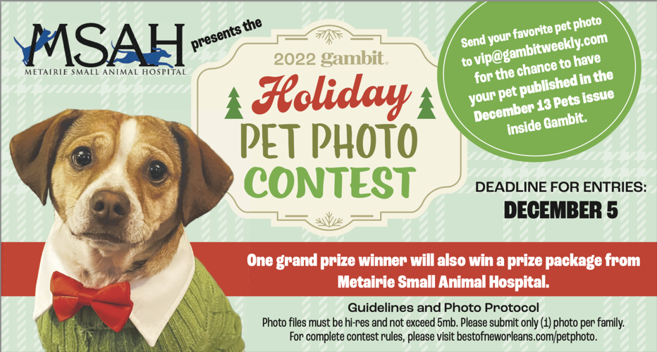 2022 Holiday Pet Photo Contest | Presented by Metairie Small Animal  Hospital | Goods 