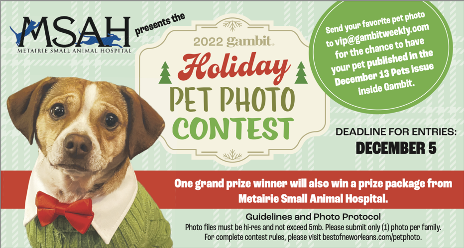2022 Holiday Pet Photo Contest | Presented by Metairie Small Animal Hospital | Goods 2022 Holiday Pet Photo Contest | Presented by Metairie Small Animal Hospital | Goods