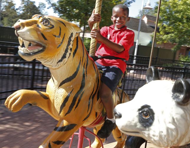Audubon Zoo auctions off endangered species carousel | Entertainment ...