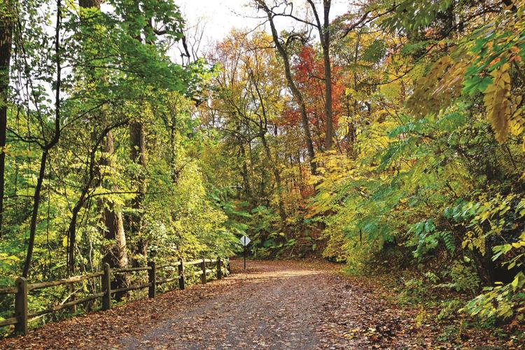 N2109P49002C edit .jpg