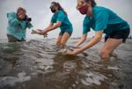 After almost dying, long rehab in New Orleans, rare sea turtles are released on Grand Isle