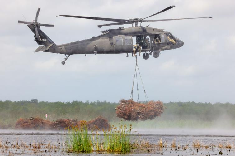 How to recycle a Christmas tree in New Orleans, Slidell LA