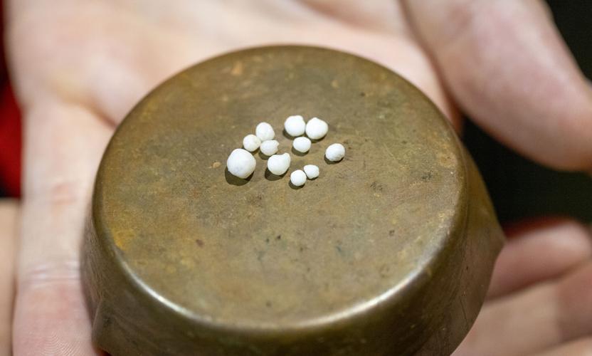 Shellfish jackpot: Woman finds 12 pearls in one raw oyster – 'It was ...