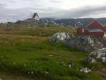 IMG_5308.jpeg