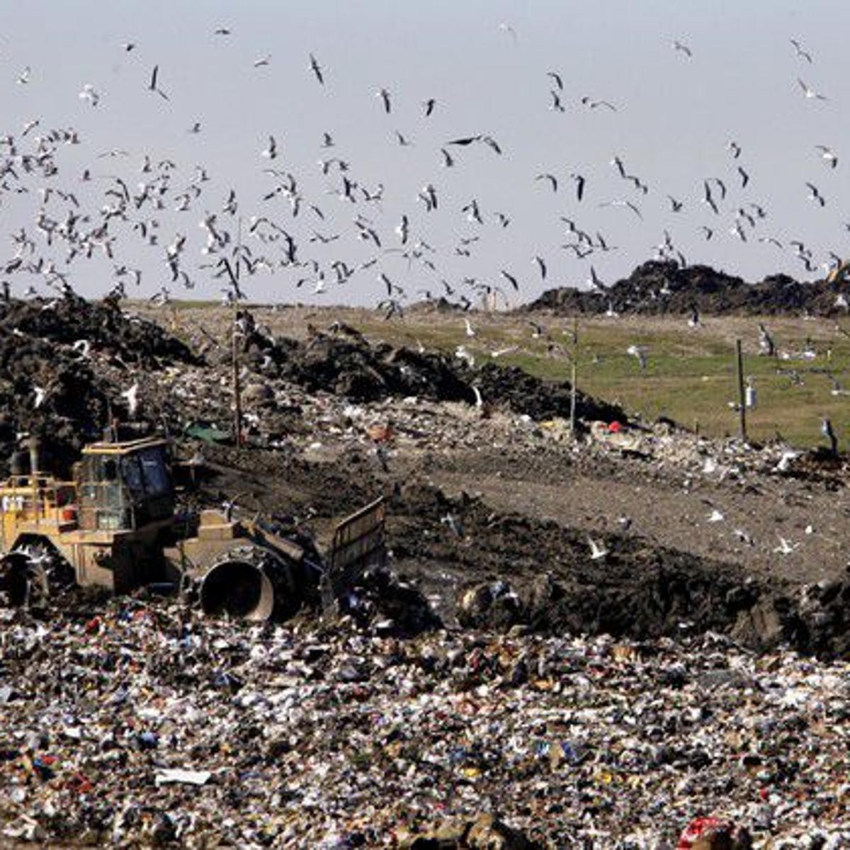 Close The Jefferson Parish Landfill Here S What Happened Last