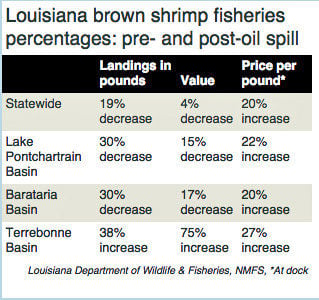 Shrimp season opener: good catch, low prices, newspaper reports