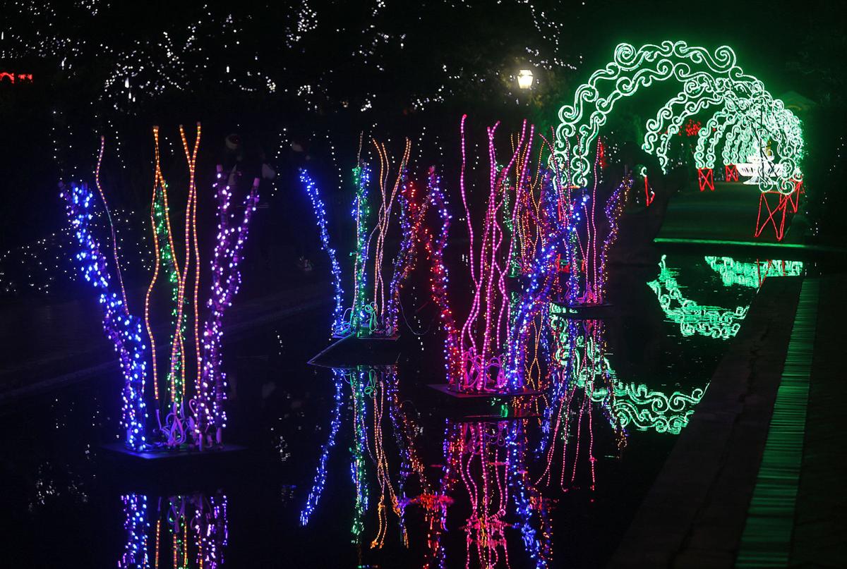 New Orleans City Park Christmas Lights 2021