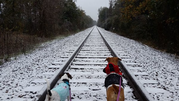 South Louisiana's snow day: A rare December storm brings snow, sleet ...