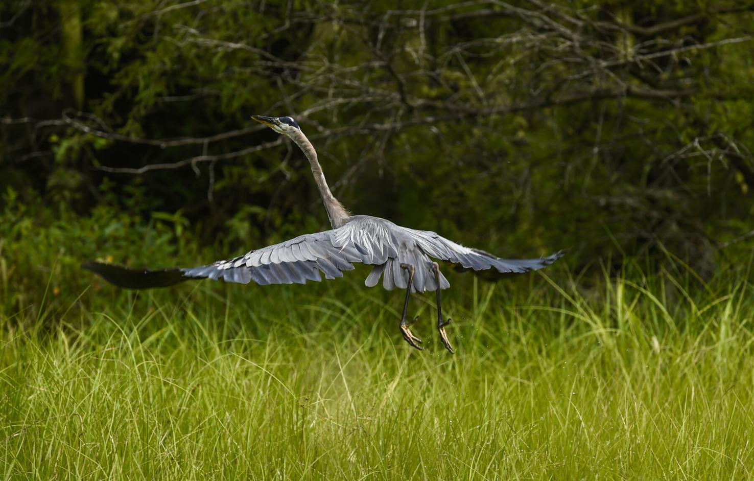 5 best day trips close to New Orleans Hit the beach, go tubing, watch