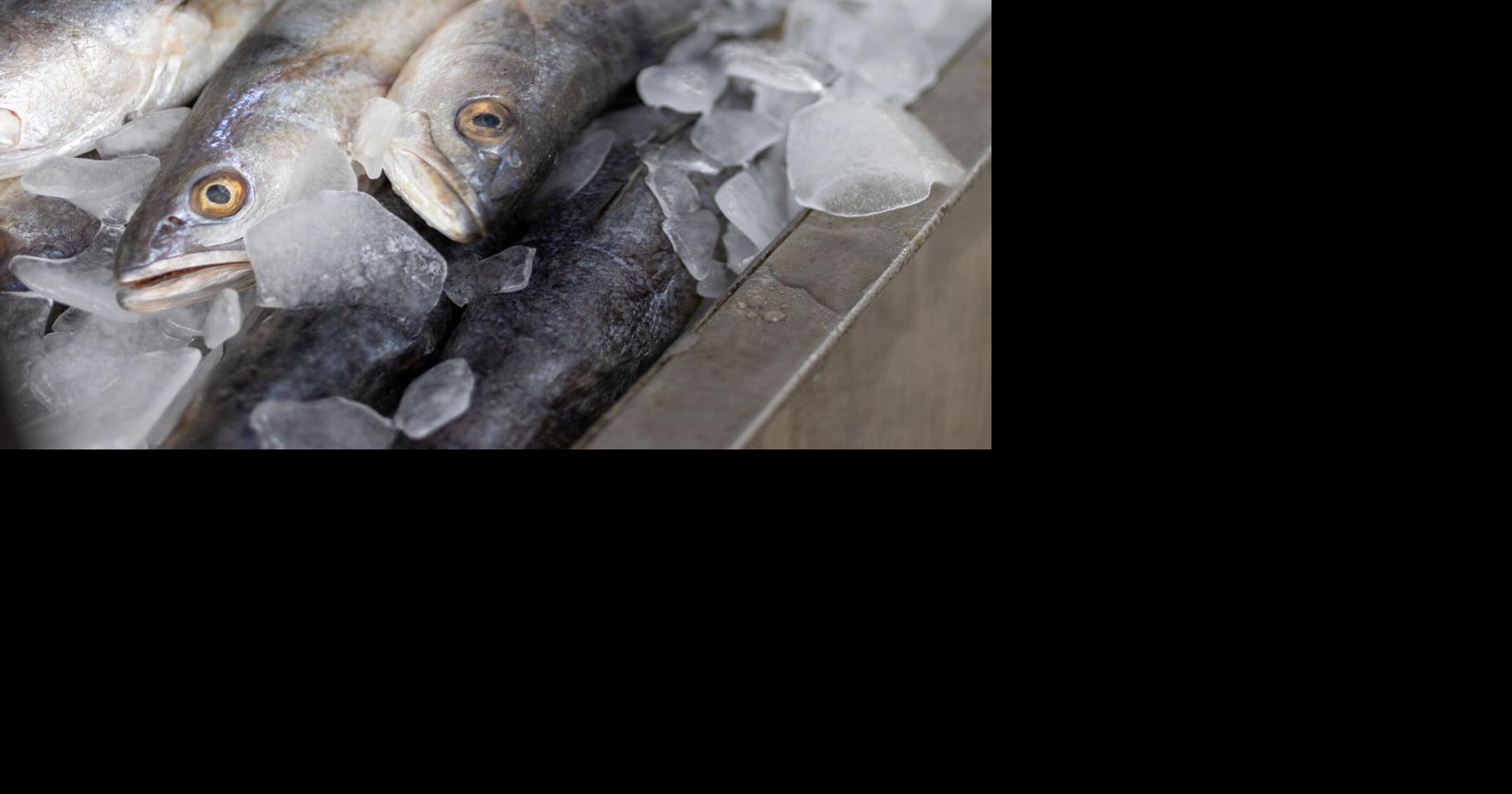 Editorial: Like it or not, Louisiana needs to preserve speckled trout populations