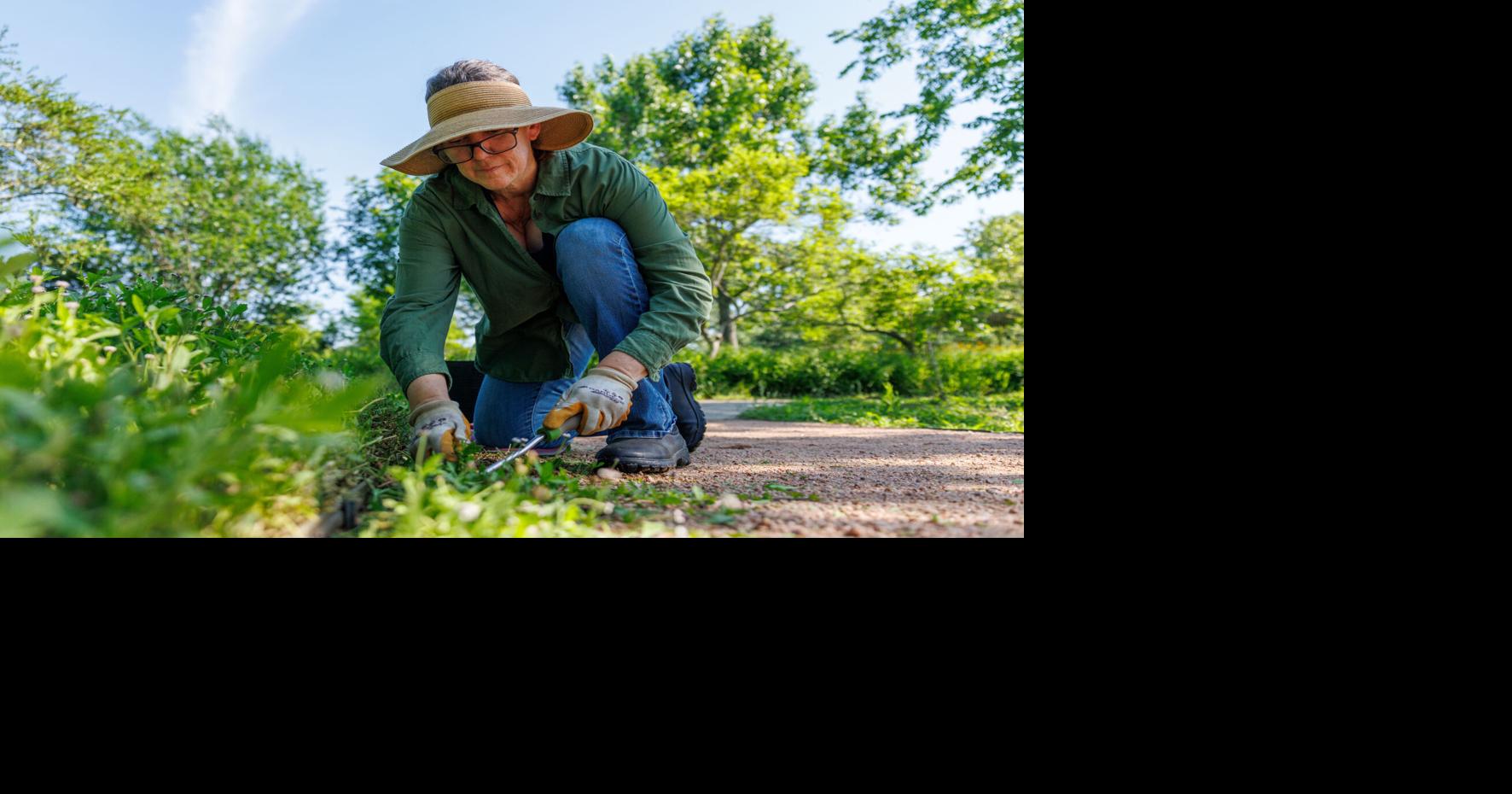 What to grow and how to care for your south Louisiana garden amid summer heat and storms