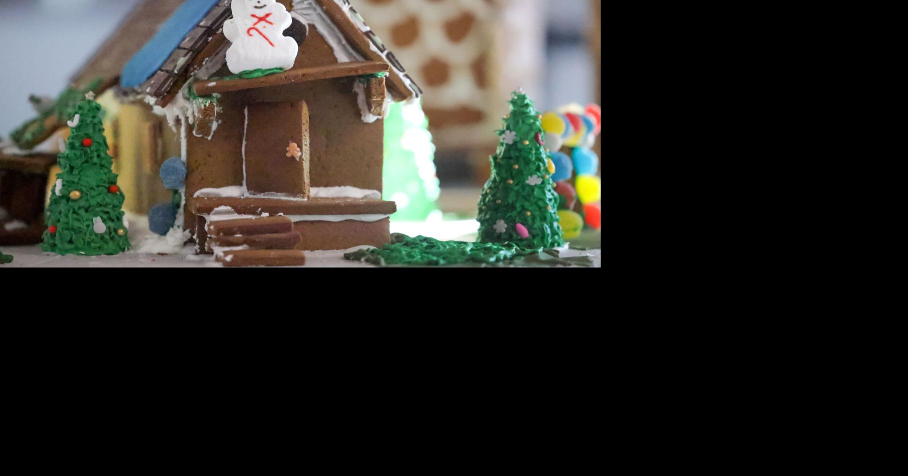 Tulane, NOCHI students team in a gingerbread house contest | Home/Garden