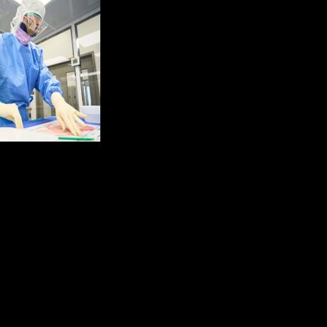 Made in Louisiana: Skin substitutes made from placentas | Business News