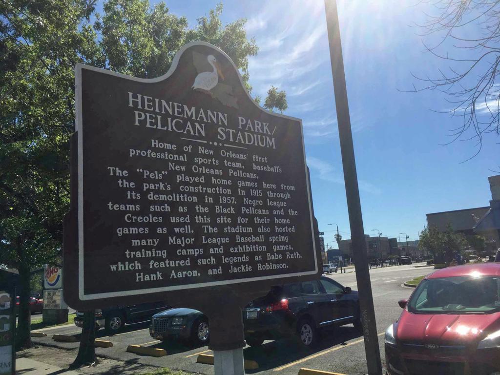Pelicans Baseball Club – The People's Baseball League