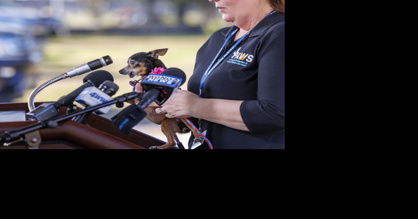 Shuttered since Ida, Jefferson Parish begins construction on east bank animal shelter