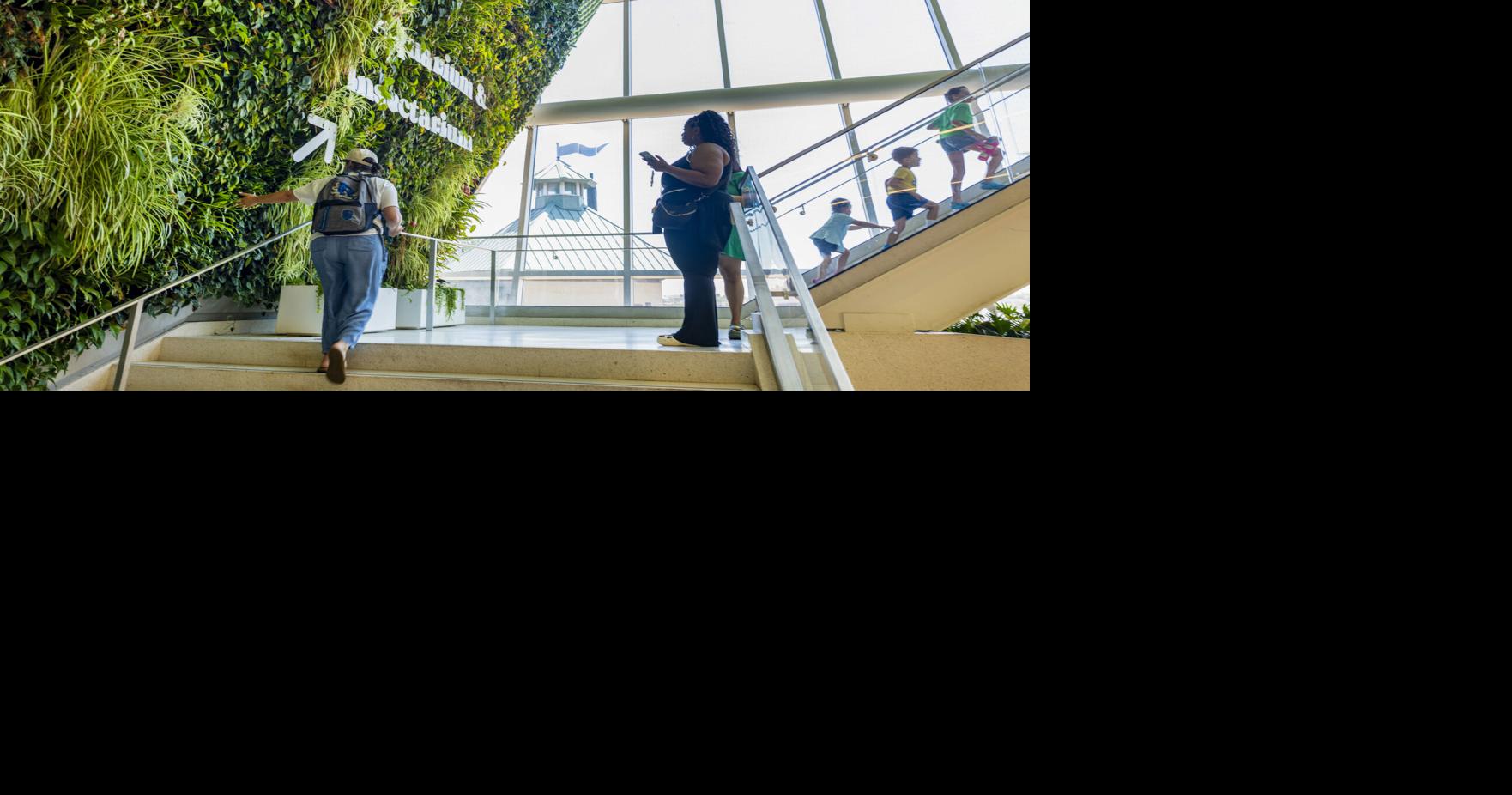 How a living wall, like Audubon Aquarium’s, can soothe the psyche in sterile spaces
