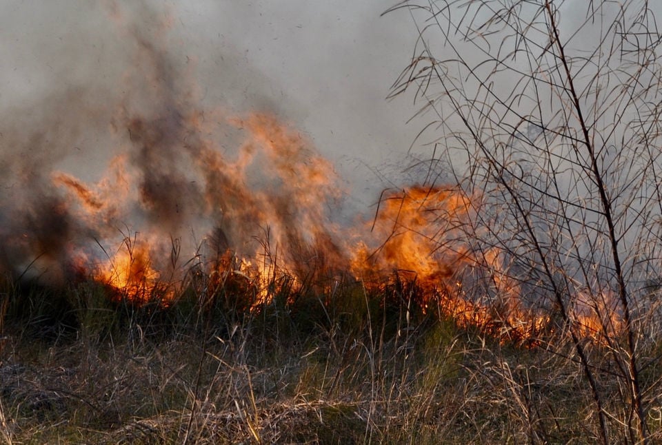 marsh fire new orleans today