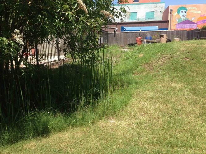 Green water management projects greenlighted across New Orleans