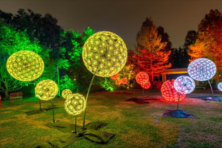 NO.celebrationintheoaks.adv