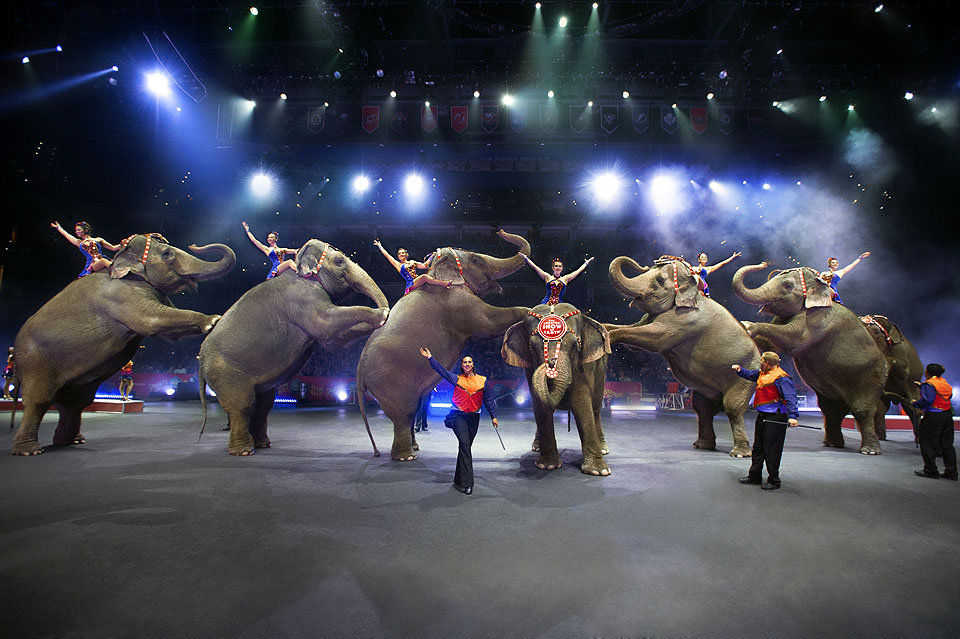 Ringling Bros. and Barnum & Bailey Circus returns to New Orleans with ...