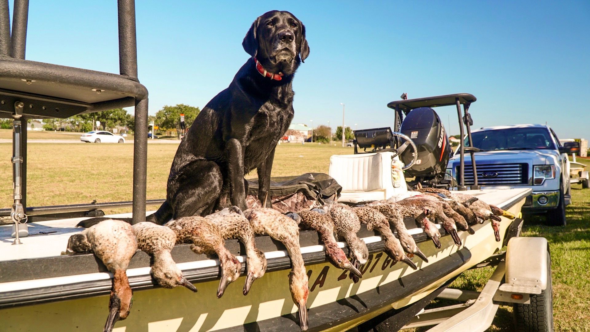 Louisiana duck hunters will soon get digital duck stamp News