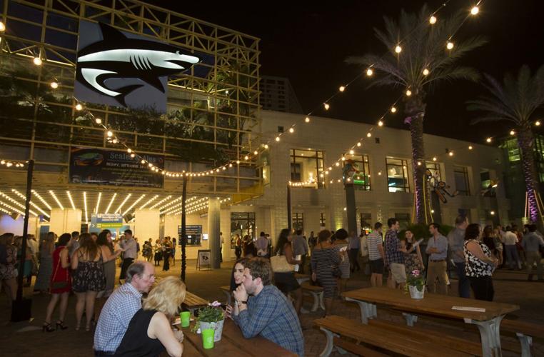 Scales & Ales aquarium gala helps to combat plastic pollution