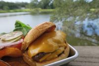 acornburger