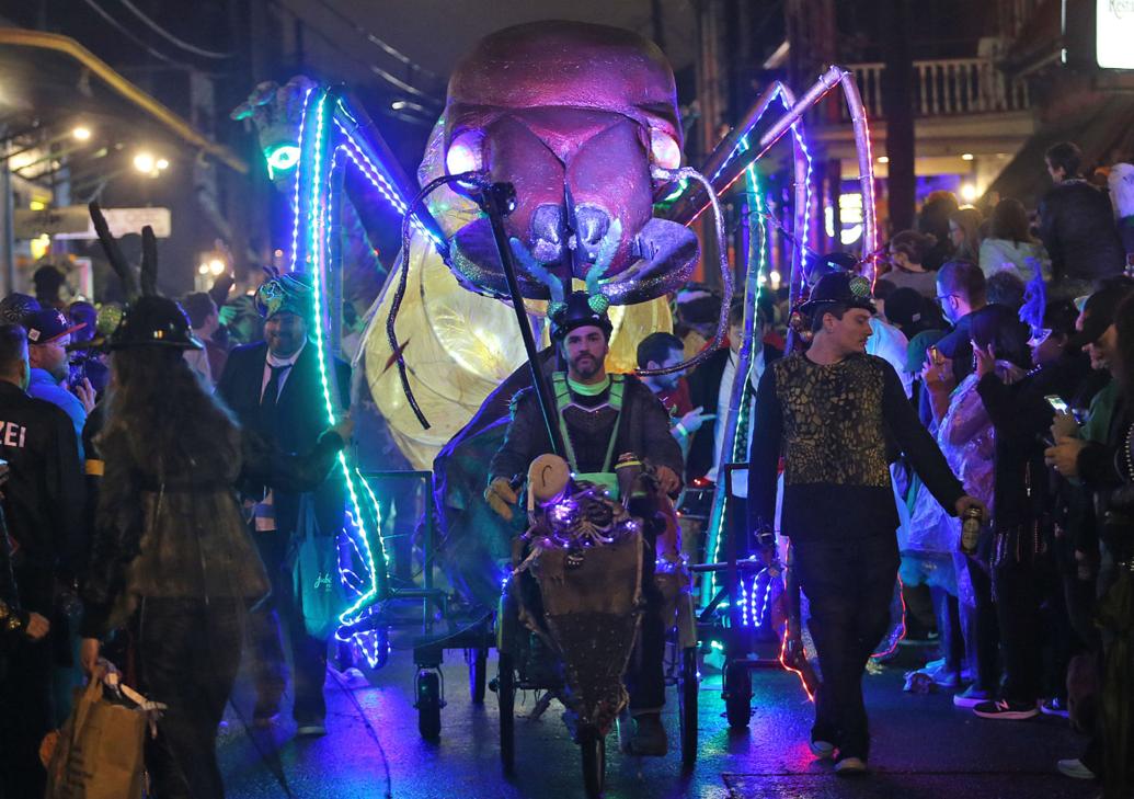 Chewbacchus parade forecast Chilly but no rain expected for New