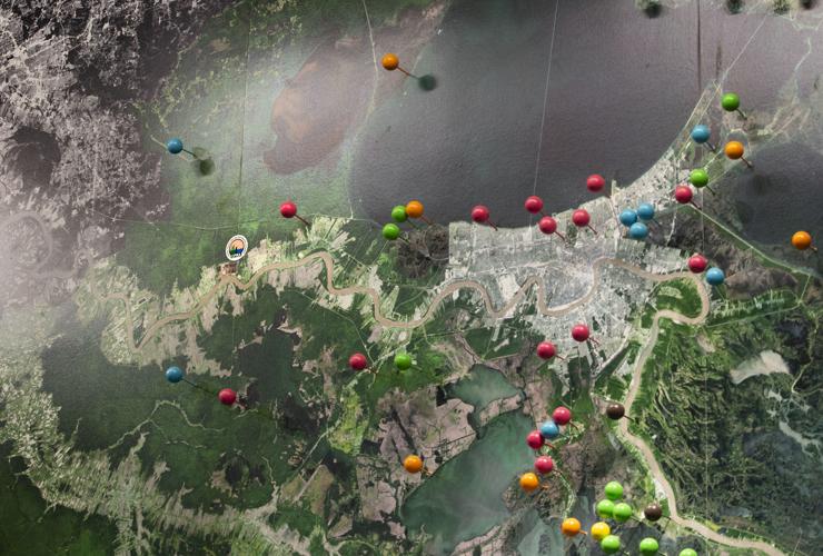 Diversion project to help repair Maurepas Swamp gets 130 million BP fine boost