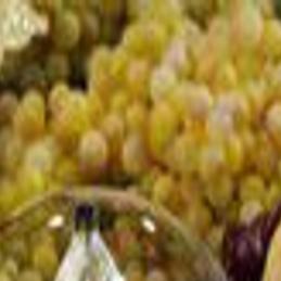 Rouses Flowers Houma La Best Flower Site