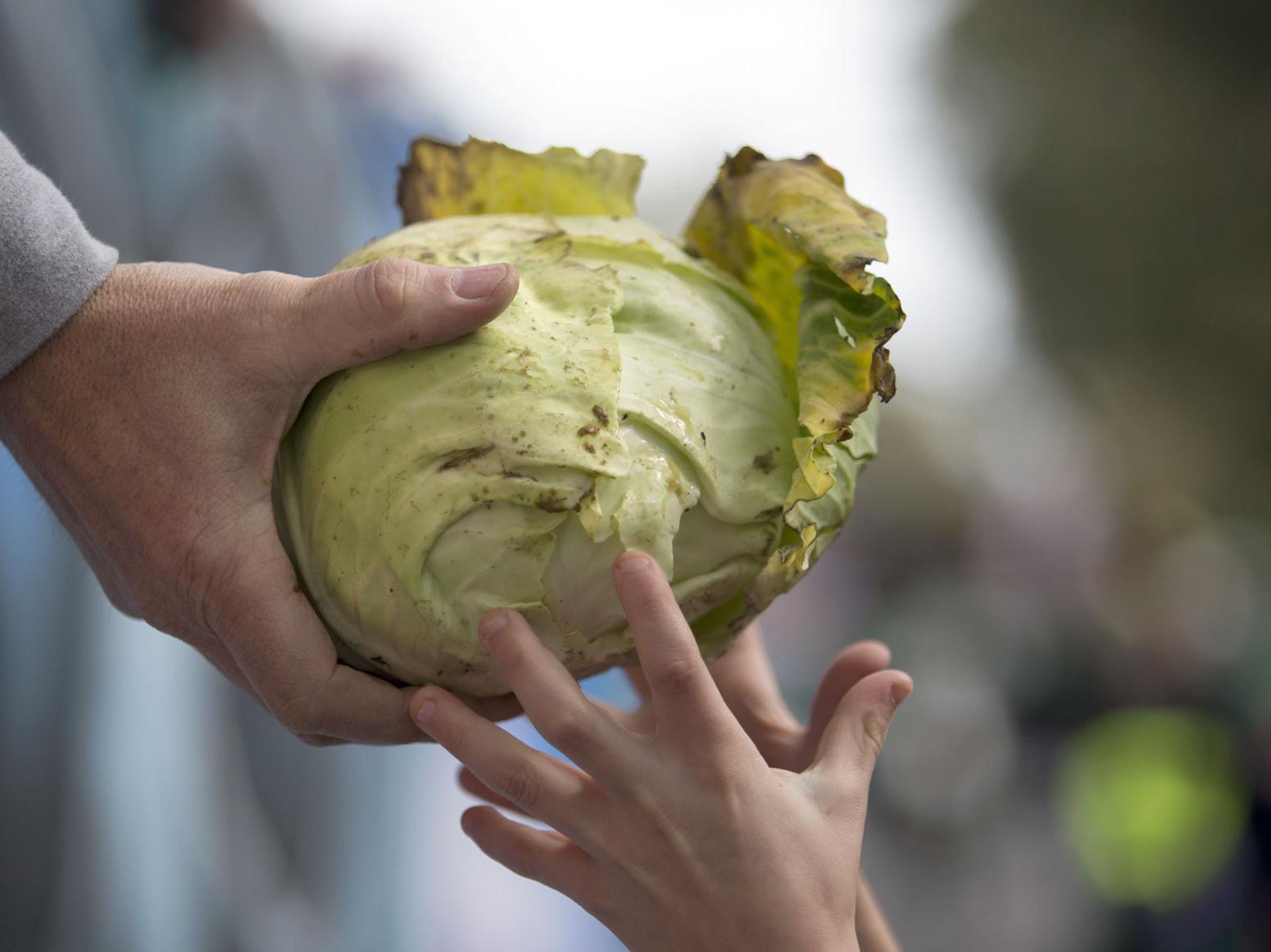 Irish Channel St Patrick S Parade Organizers Say They Ll Be Ready To Toss Cabbages In 2022 Louisiana Festivals Nola Com St Patricks Day Parade 2022 New Orleans
