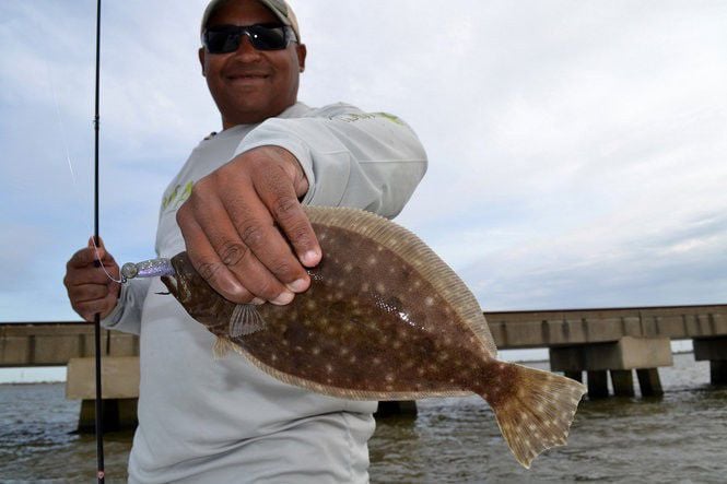 Flounder Size Limits By State - Active Beach Fishing