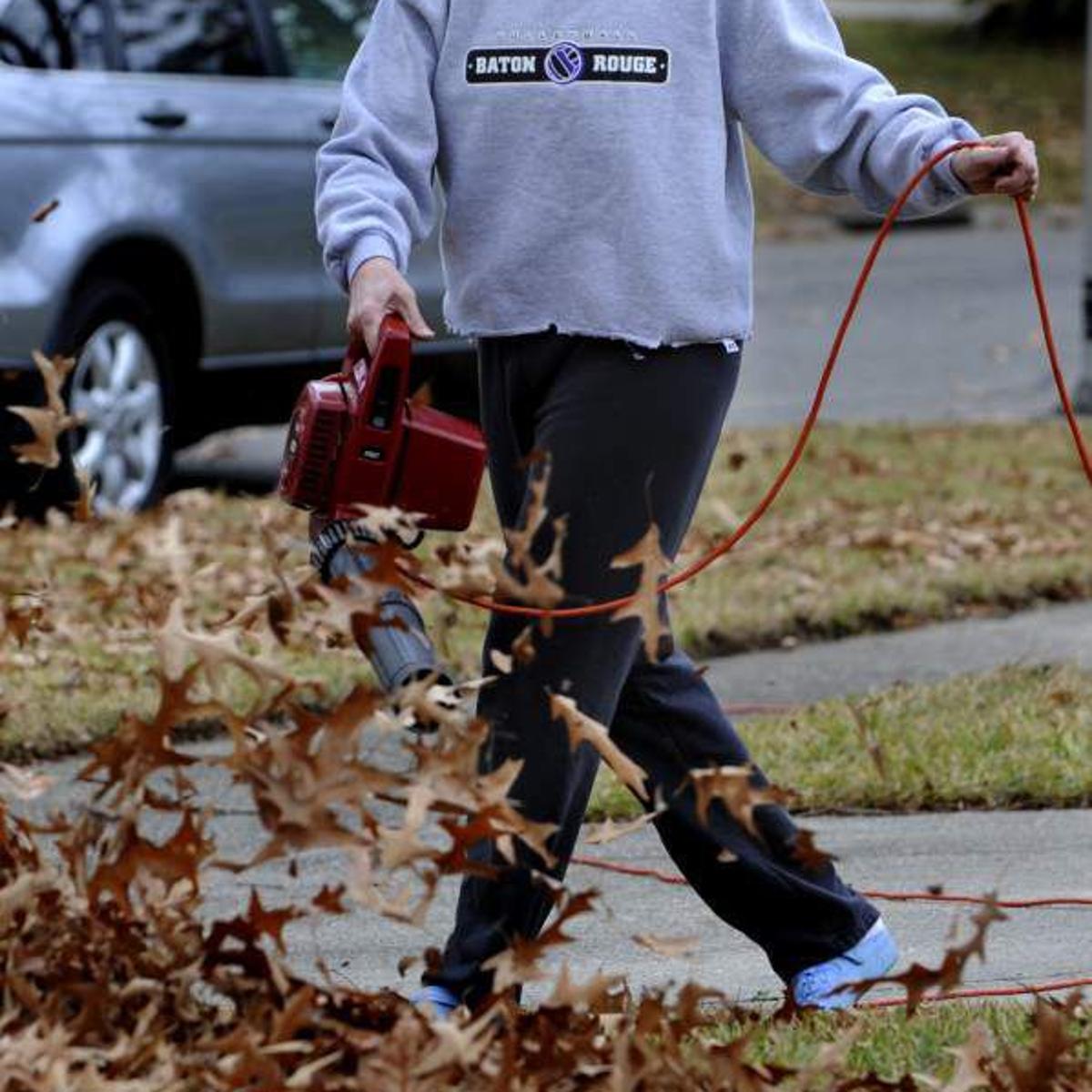 Even Though South Louisiana Becomes Allergen S Paradise During