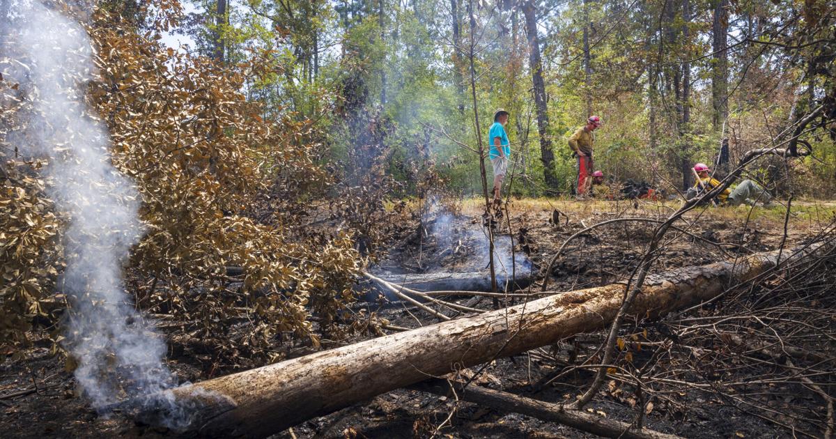 ‘We still have a town:’ Life on the edge of Louisiana’s biggest wildfire