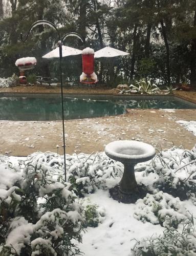 South Louisiana's snow day: A rare December storm brings snow, sleet ...
