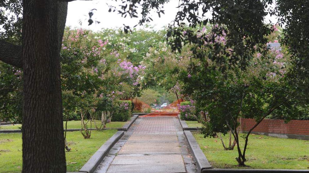 Download Foundation Center At Lafreniere Park Background Park Art Download Foundation Center At Lafreniere Park Background Park Art