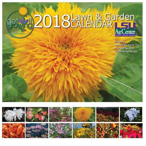 This week's gardening tips Flower seeds to sow now Home/Garden