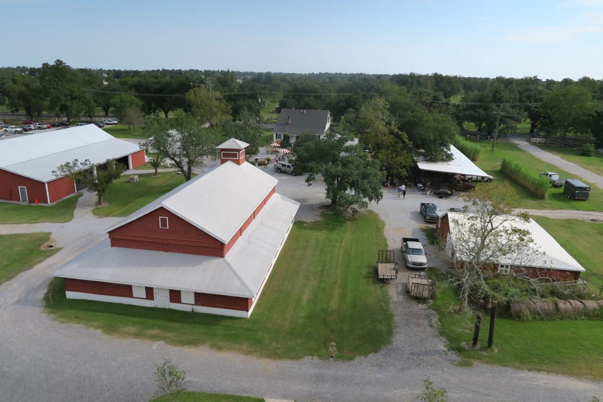 On a riverside farm, a wild hog cookoff, a football tailgate, a boost