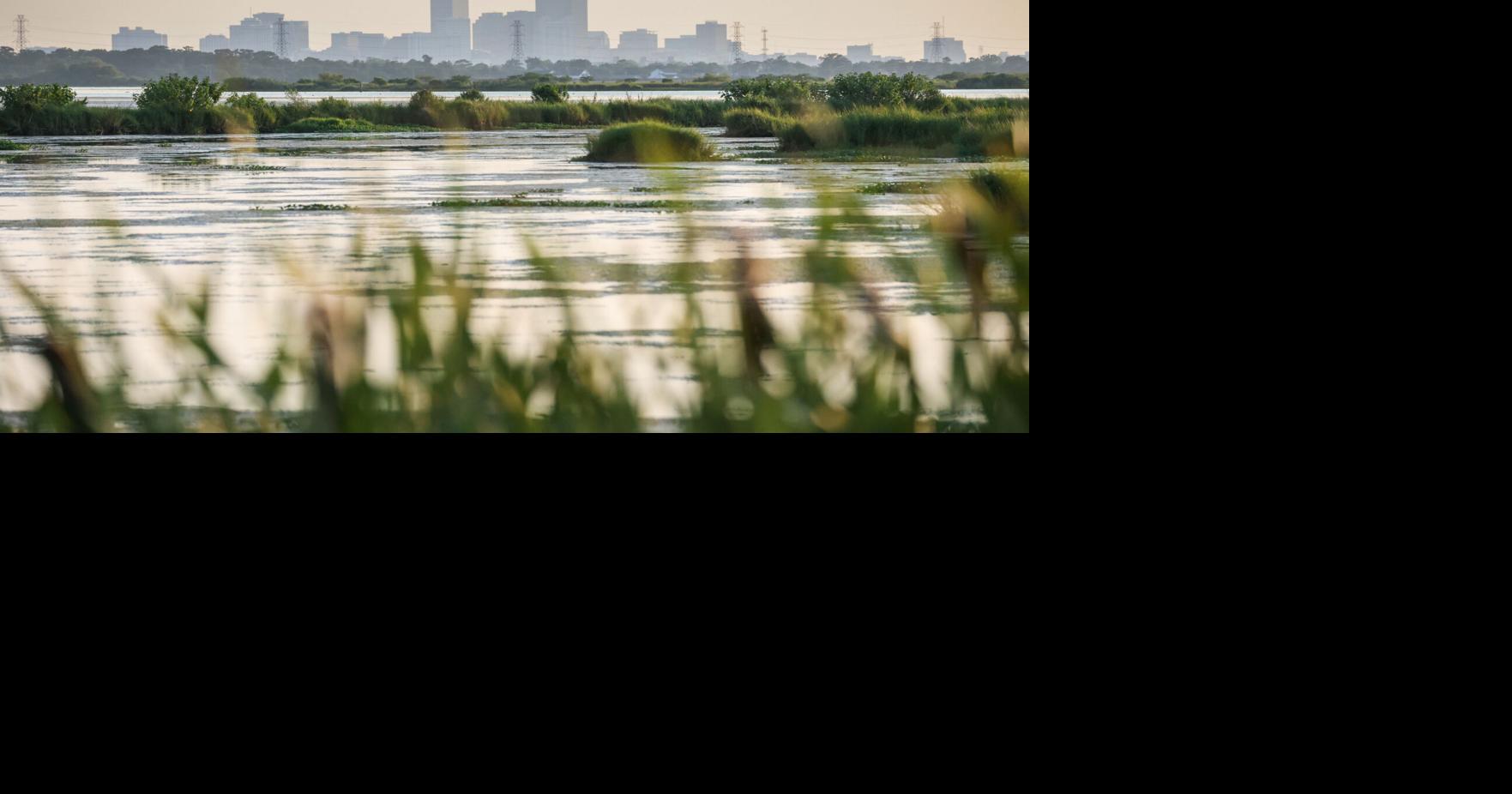 Louisiana’s coastal restoration strategy sees major shift in new plan