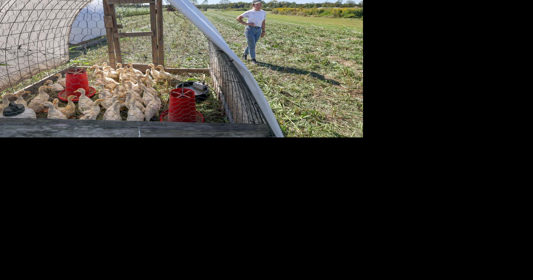 These women are turning a remote New Orleans oasis into a farming hub: 'It's what I'll do forever'