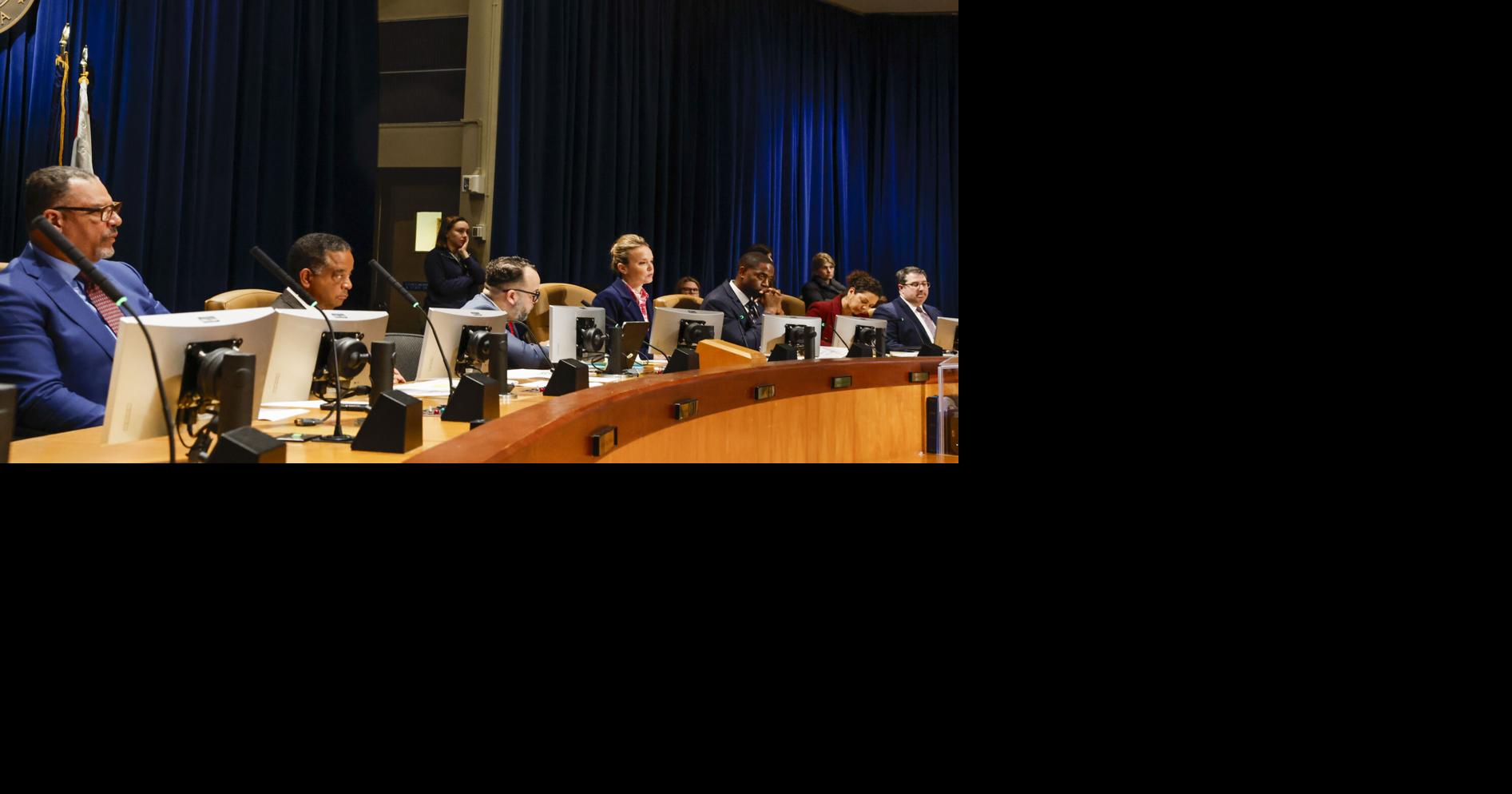 New Orleans Council District E candidates say they'll work to bring jobs, services to area