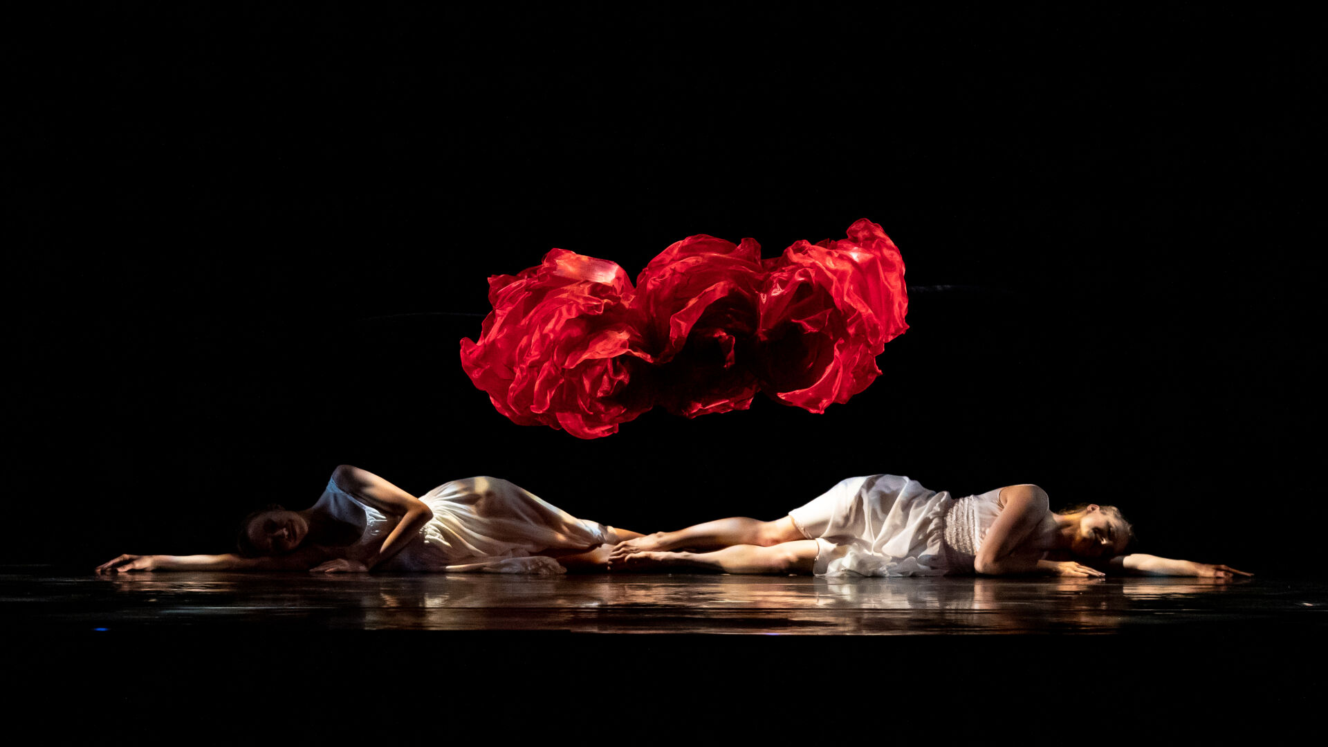 MOMIX 'Alice' ballet goes down a rabbit hole of dance | Arts