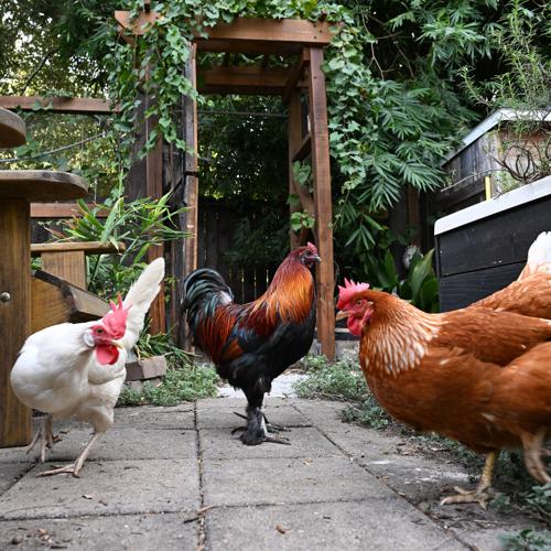 Reed 1 November 7,2023