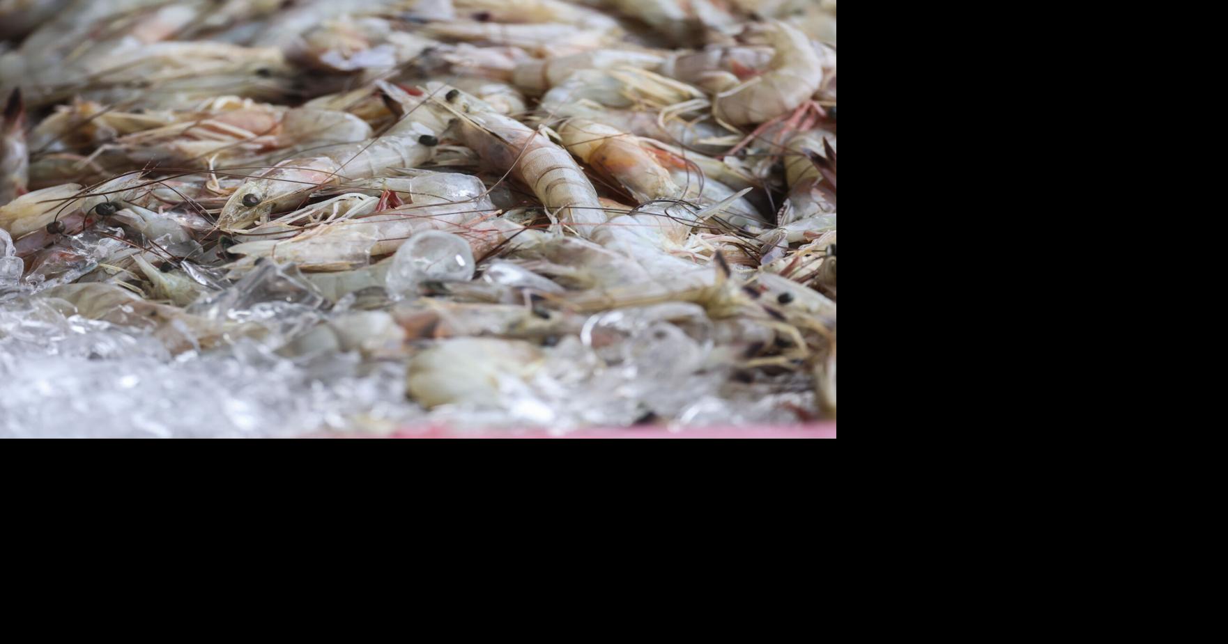 Testing shows these New Orleans area restaurants are serving authentic, local shrimp. See the list.