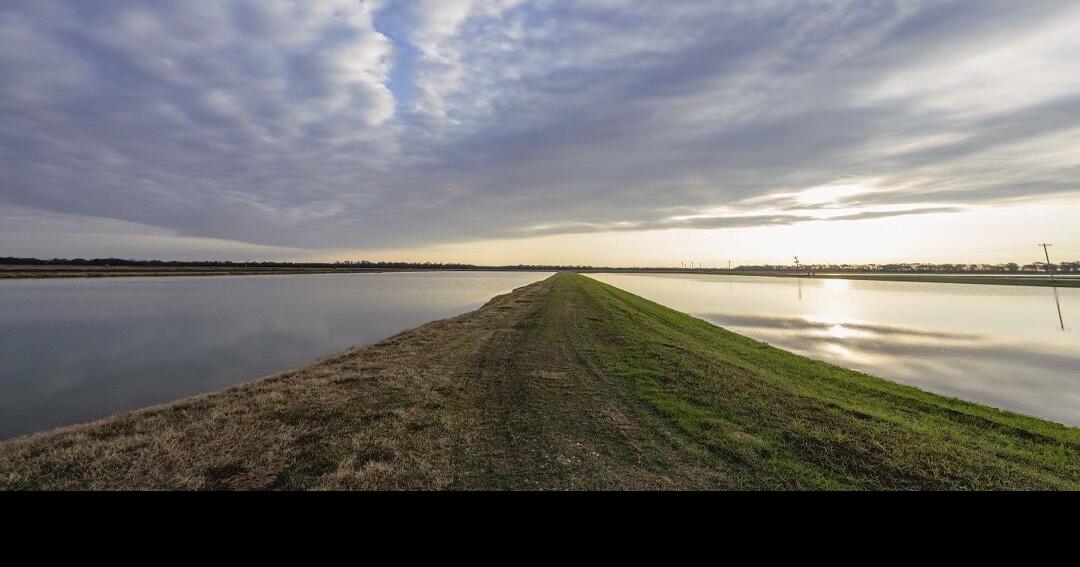 Leading Arkansas fish farm improves its ecosystem by working with GreenTrees