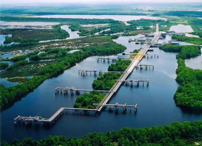 Oyster leases in Barataria Bay closed due to LOOP oil spill | Business ...