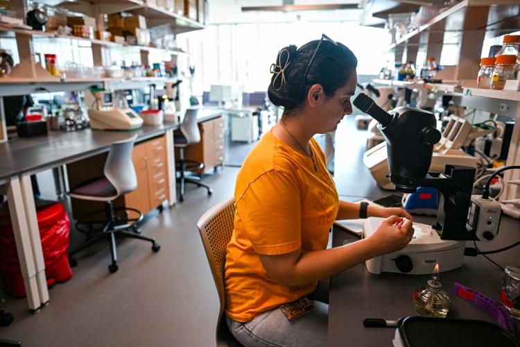 Science Lsu Inside LSU’s new $148 million science building | Education | nola.com